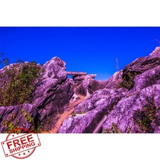 Reptile Terrarium Background Blue Sky Rock Gobi Desert Vinyl 72x24" 