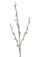 artplants Kunst Zweig KäTzchenweiden Nielson, Mit BlüTen, Zartrosa, 80Cm