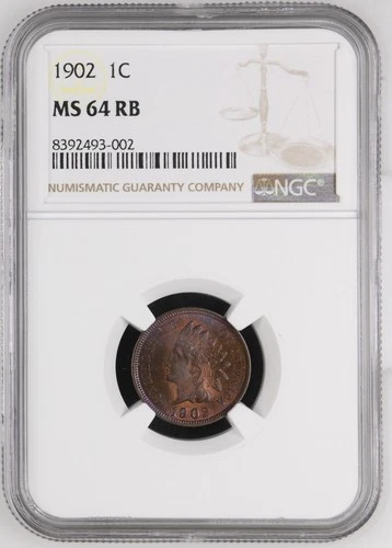 A 1902 INDIAN HEAD CENT NGC MS64 RB