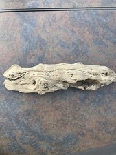 Natural Driftwood for Plants Terrarium Taxidermy Art Projects