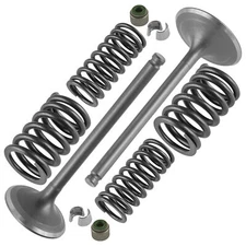 Intake & Exhaust Valve Kit For Honda Foreman Rubicon 500 TRX500 TRX520 4x4 05-23