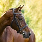 Bild 9 von 24