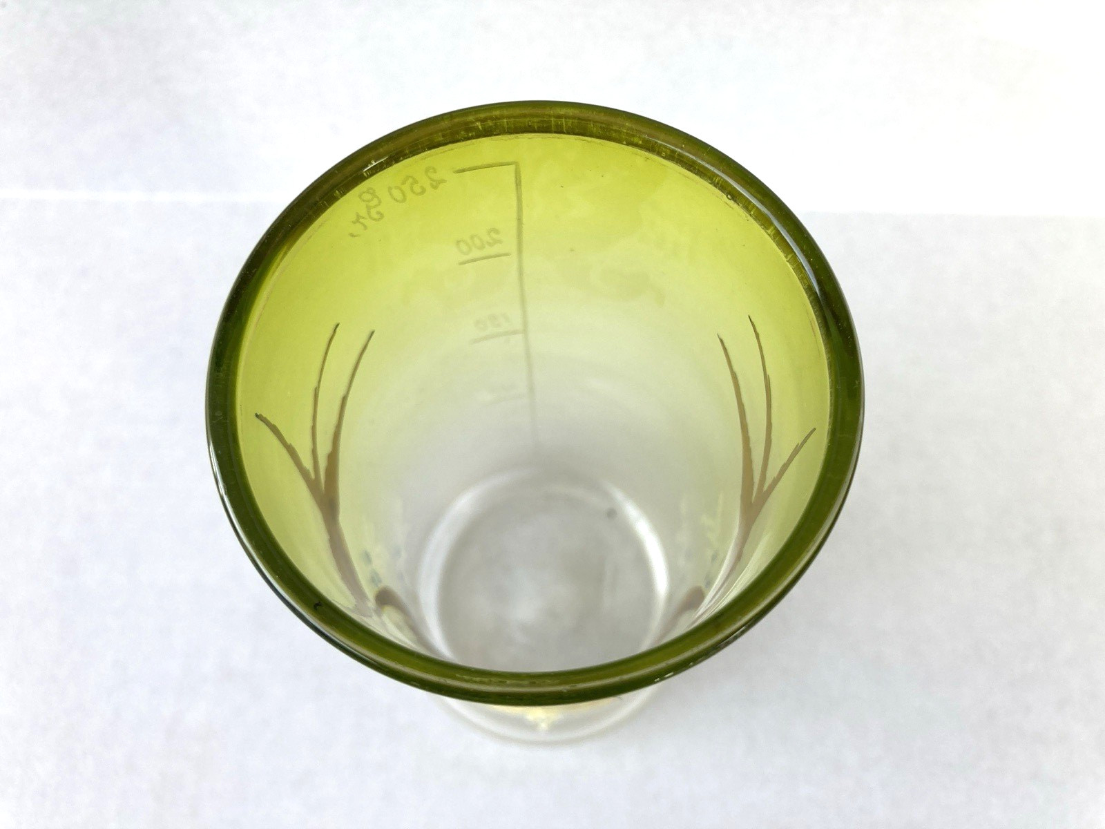 STUNNING Antique German Enameled Glass Beaker, 19th/20th Century BIRDS & CLOVERS