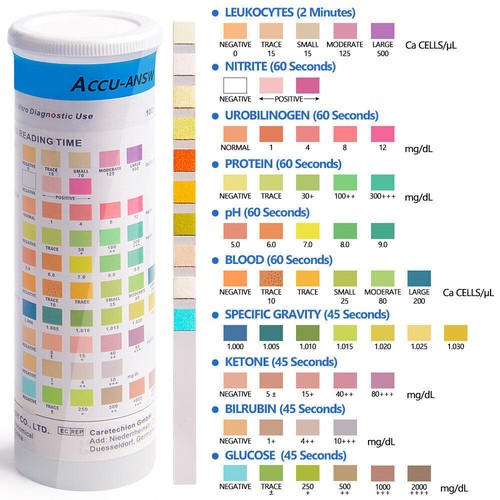 100 x Accu-ANSWER 10-in-1 Urinalysis Test Strips 10 Parameter Urine Test Strips - Picture 7 of 8