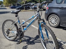 Mongoose Roadmaster Bike