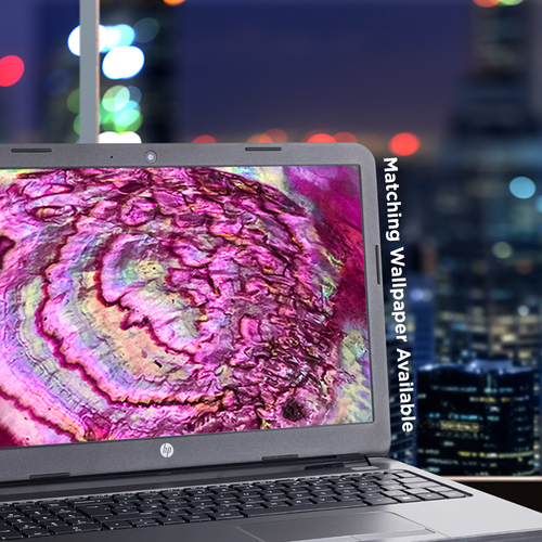 Laptop Skin Wrap Universal for 13 inch - Pink Abalone Shell Sea Opal - Picture 6 of 7