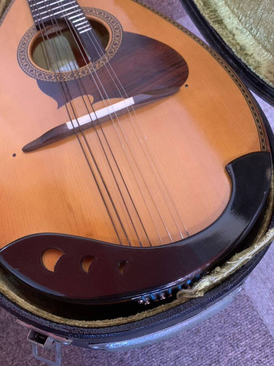 Suzuki Mandolin M-210 Brown Bowlback Entry Model violin | eBay