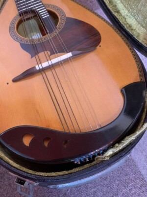 Suzuki Mandolin M-210 Brown Bowlback Entry Model violin | eBay