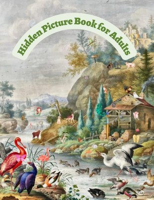 Hidden Picture Book for Adults Seek and Find the Hidden Objects in the Pictures