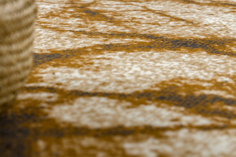 Picture 4 of 12
