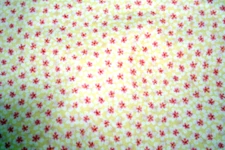 RED CENTERED WHITE FLOWERS ON YELLOW  FROM FREE SPIRIT- 100% COTTON FABRIC