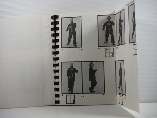 Tao and T'ai Chi Kung by Robert C. Sohn PB fold outs great guide book 1978 PB - Picture 10 of 16