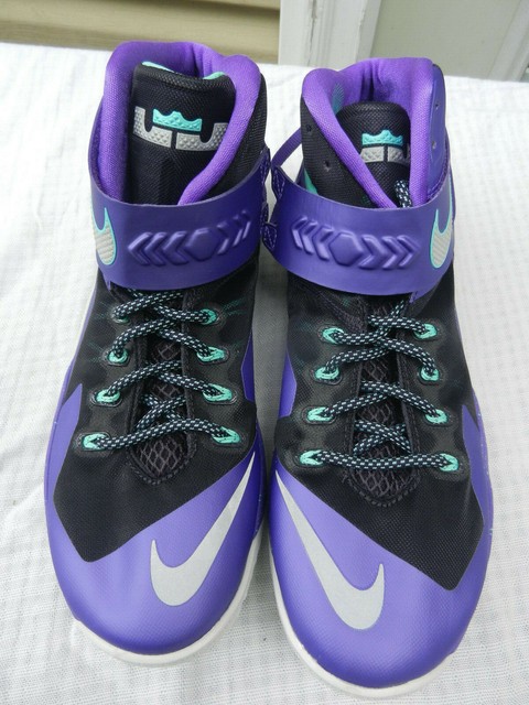 lebron soldier 8 purple