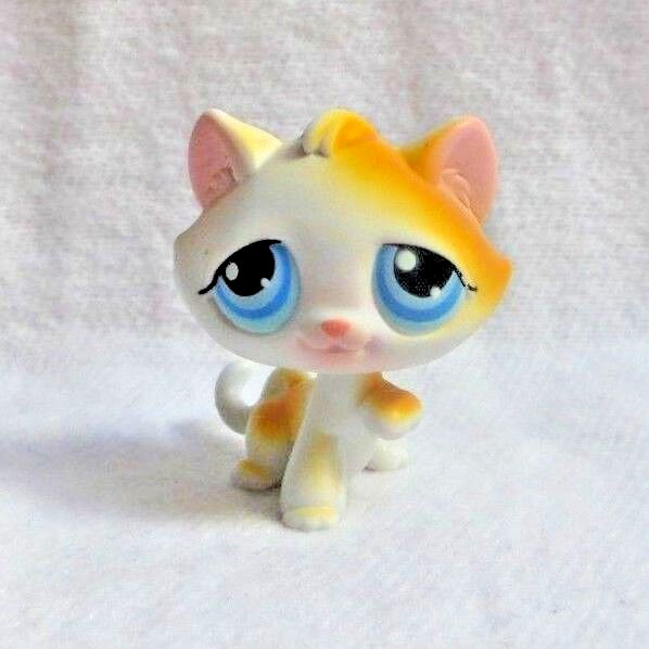 Lps #2045 Littlest Petshop Original Chatton Chat Chat Chat Chat 389075694663