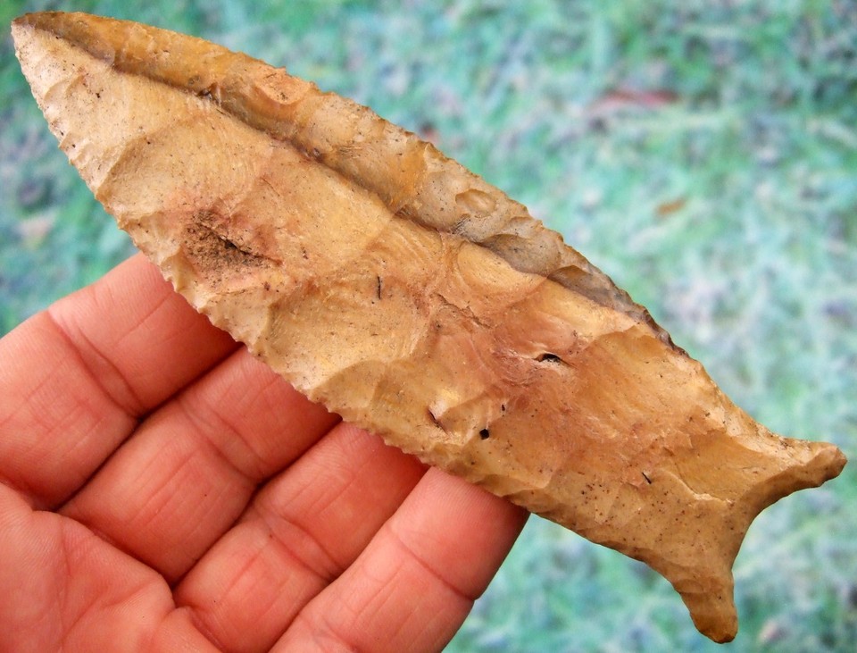 Super Fine 5 3/8 inch Florida Coastal Flint Beaver Lake Point wt COA ...