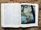 Foto 10 di 10