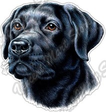 Black Lab Labrador Breed Head Dog Pet Animal Car Bumper Vinyl Sticker Decal 4.6"