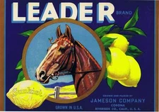 Leader, Horse, Jamson Co, CA 1930's VTG Lemon Crate Label