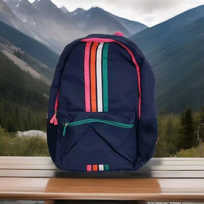 Pep Rally Navy Blue Striped 18''  Backpack Laptop Compartment Multiple Pockets 