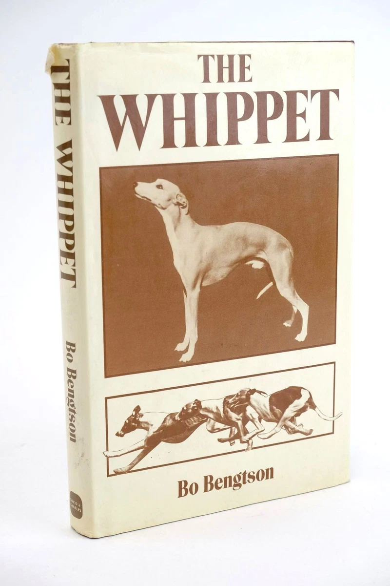 The whippet best sale