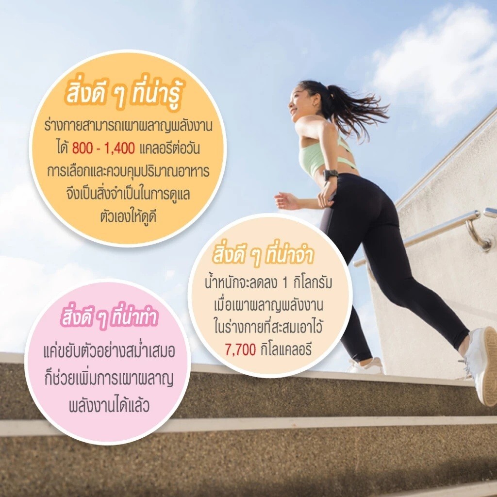 Bild 7 von 14