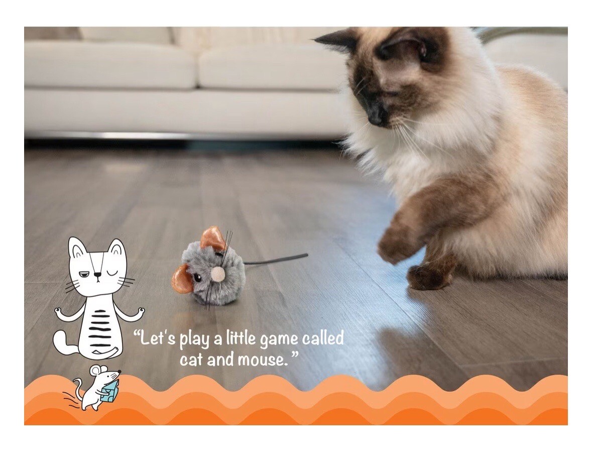 Catstages Squeaking Interactive Touch Activated Catnip Cat Toy