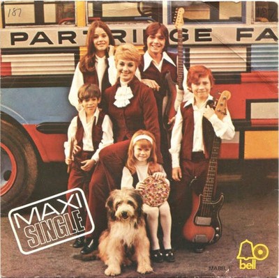 The Partridge Family - Breaking Up Is Hard To Do (VINYL)