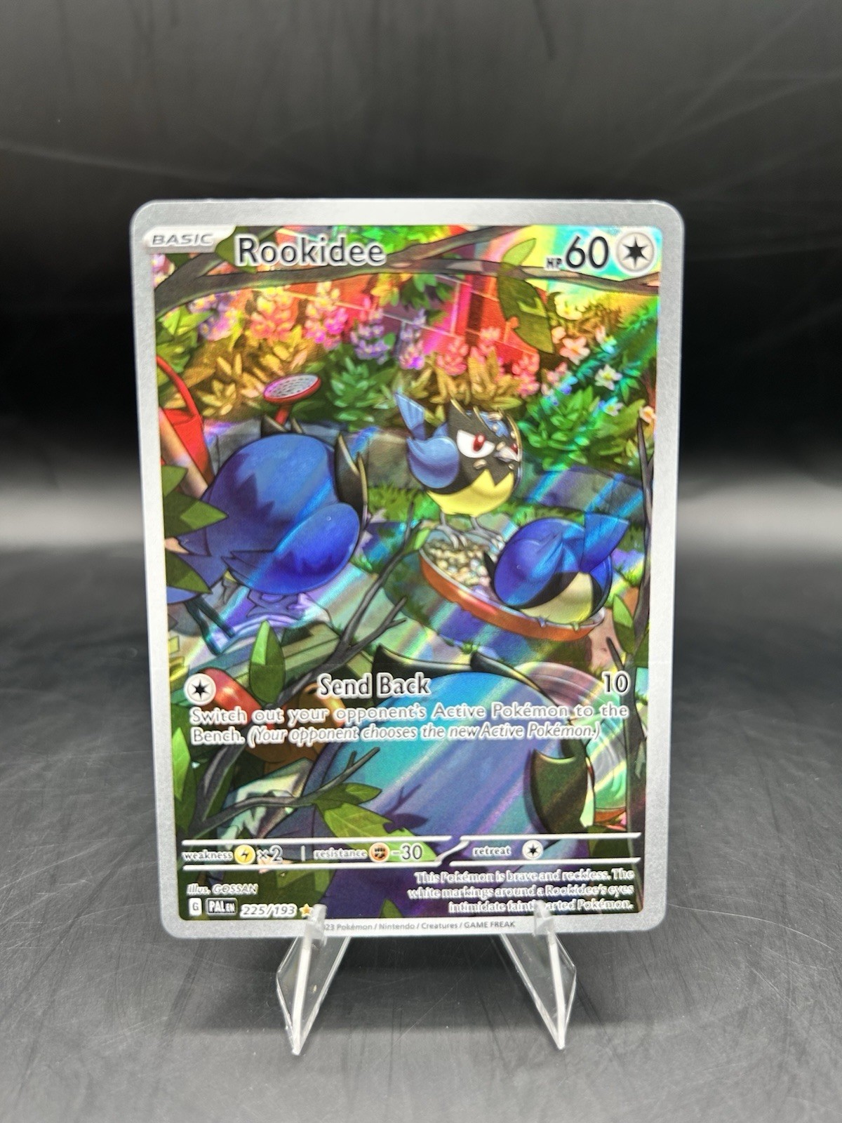 Rookidee 225/193 Sv02: Paldea Evolved Holo NM/M