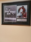 Picture 4 of 6