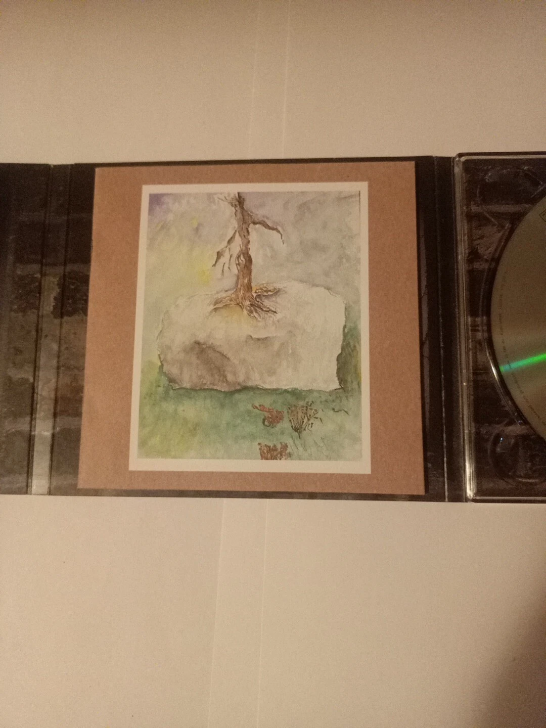 Picture 5 of 6