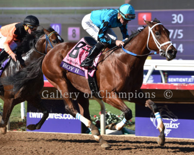 Roy H 2017 Breeders' Cup Sprint Photo 8'' x 10 - 24'' x 30'' 