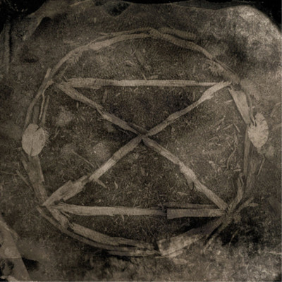 Common Eider, King Eider Extinction (CD) Album