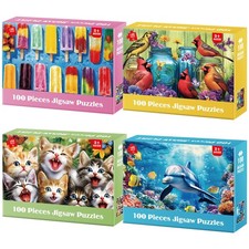 4 Pack 100 Piece Jigsaw Puzzles for Kids Ages 4-8 15 x 10 Inch