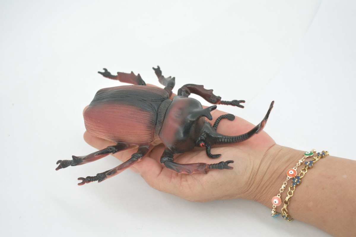 DeliciousTaylormade BeeAroundLil’BEEtle Rhinoceros Horned Stag Beetle Rubber Insect Toy Realistic Figurine