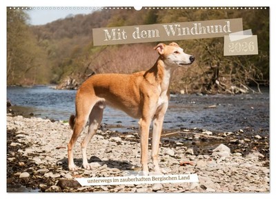 Meike Bölts | Mit dem Windhund unterwegs im zauberhaften Bergischen Land...