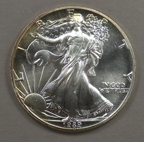 1989 American Silver Eagle $1 Coin - BU with Rim Toning