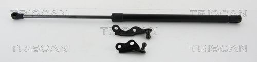 Triscan Gasfeder, Koffer-/Laderaum 8710 13287 FüR Toyota-image