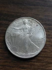 2004 American Silver Eagle .999 Fine Silver 1 Troy Oz