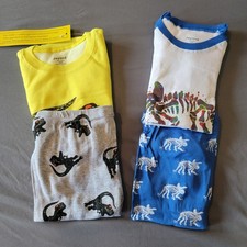 Dinosaur Pajama Sets, 2-Sets, Boys Size 10Y, Joyand New