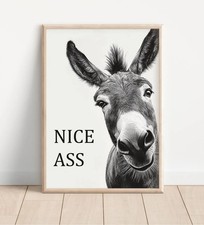 Funny Donkey Wall Art Print Nice Ass Bathroom Humorous Animal Decor