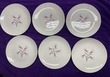 Homer Laughlin Big Pay-Off By Bess Myerson 10" Dinner Plates Set of 6