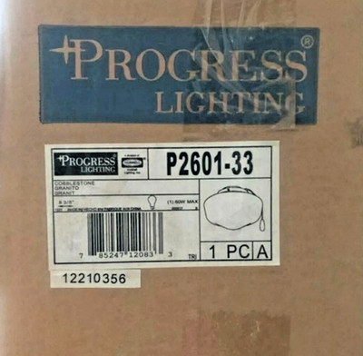 Progress Lighting P2601-33 1-Light Flush Mount Ceiling Fixture White NIB