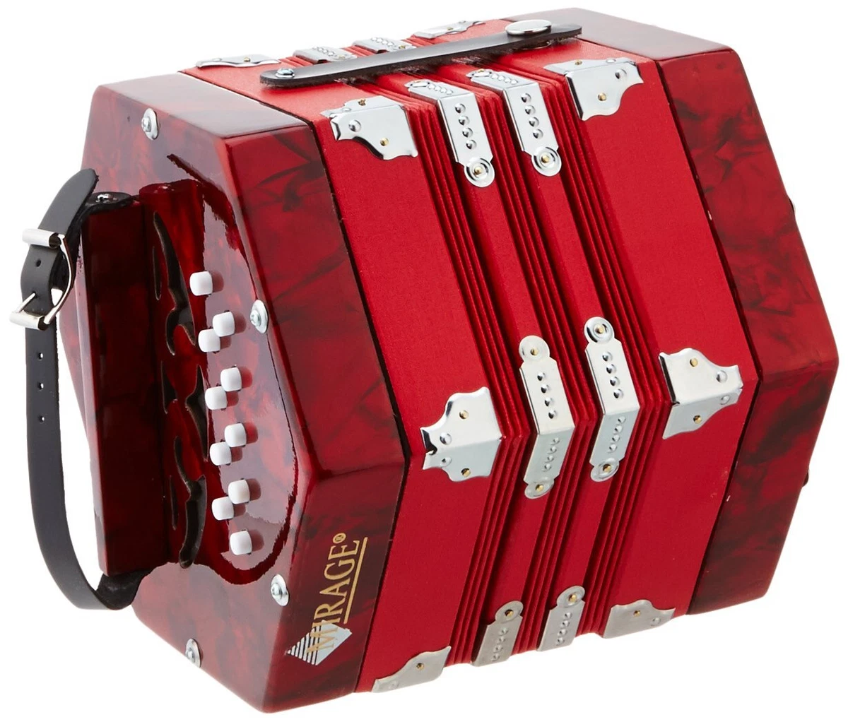 Concertina accordion 2024
