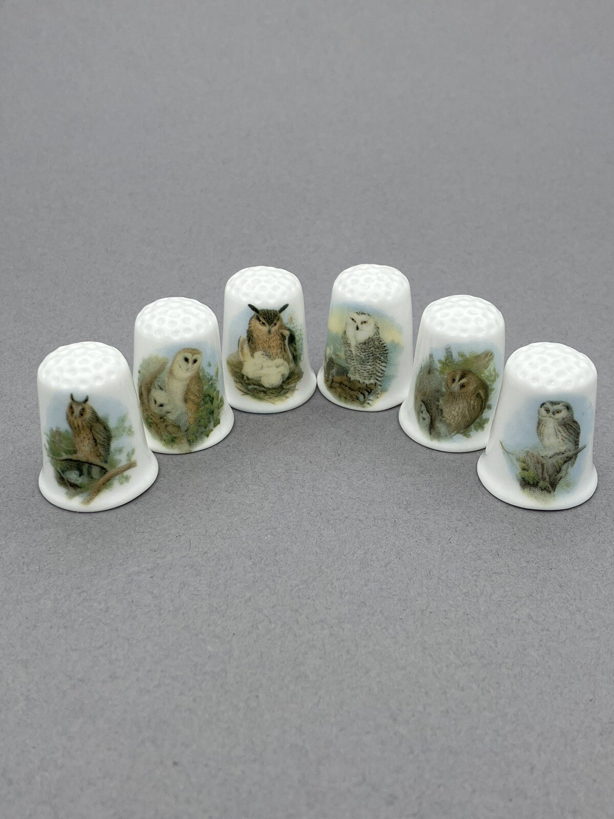 6 Elegant Owls English Fine Bone China Thimbles Full Set