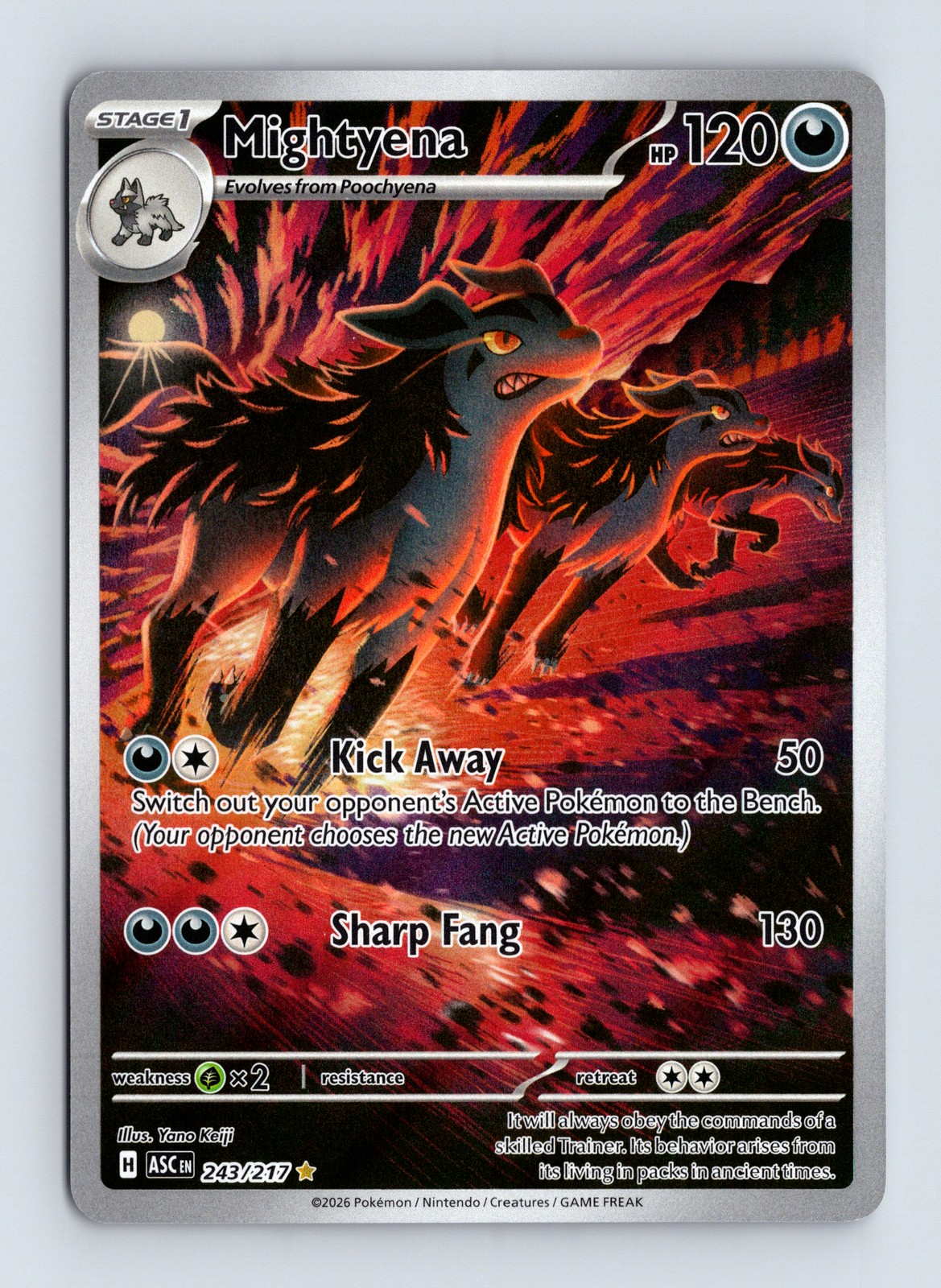 Mightyena 243/217, Ascended Heroes, Illustration Rare Near Mint