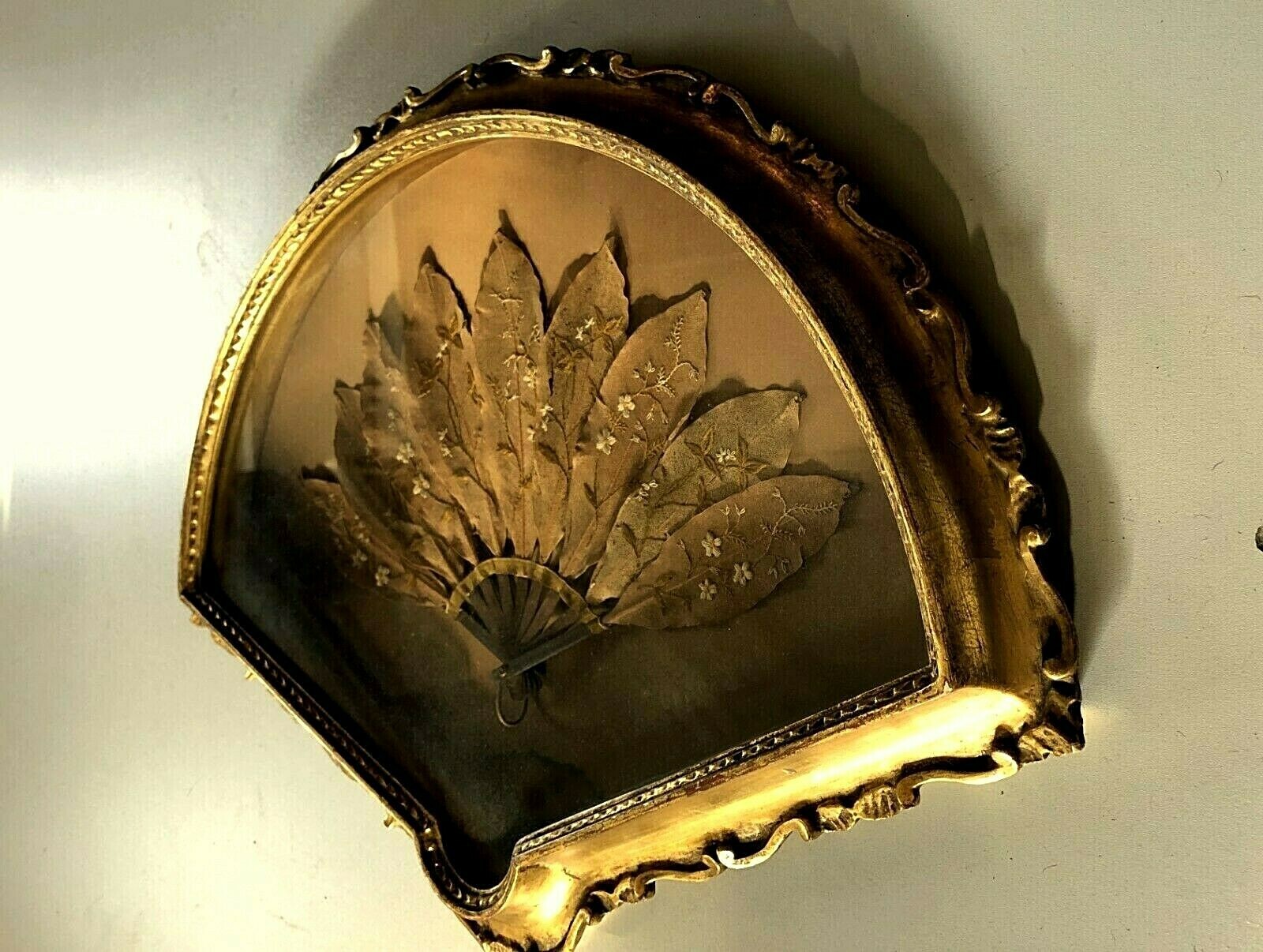 Foto 2 di 12