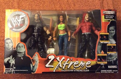 JAKKS PACIFIC WWF 3 PACK PLAYSET LOT (2) HARDY'S, LITA, ROCK
