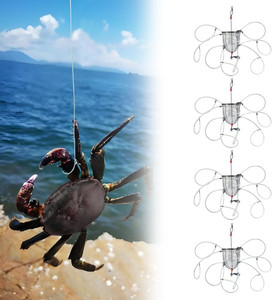 best lure for florida shore fishing Inshore Fishing