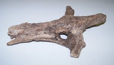 driftwood aquarium terrarium art unique natural river creation 13"