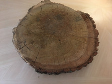 Oak wood tree log section cookie trunk slab - carving woodworking x 1  L34cm